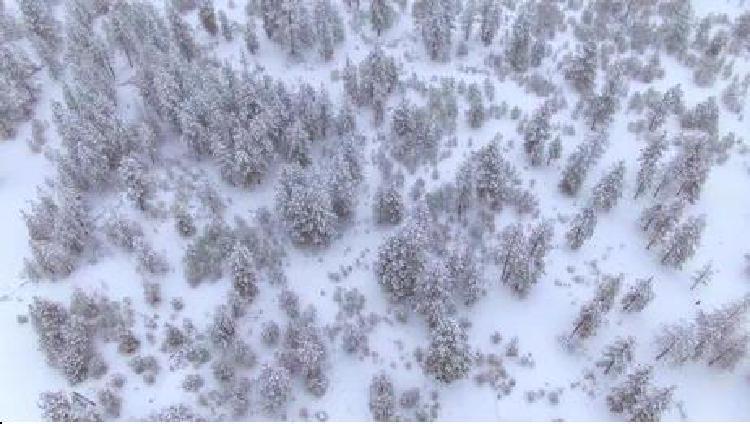 Представлены дроны: Аэрофотосъемка будущего городского планирования