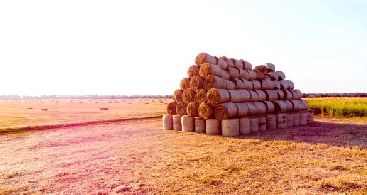 Небесный холст: Художественная сущность полетов дронов